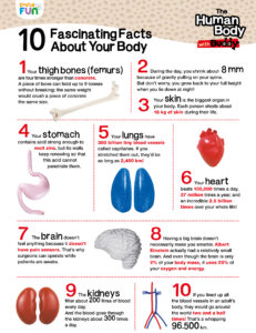 fascinating facts about your body