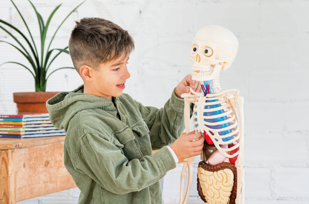 Kid with buddy the skeleton