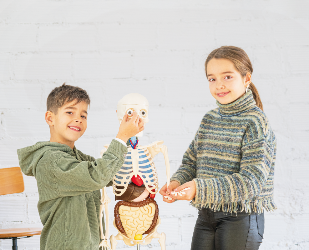 kids playing with Buddy the skeleton